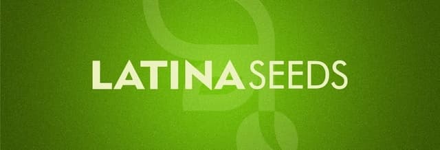 Latina Seeds